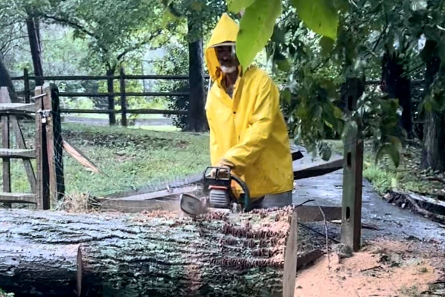 Friday afternoon, a work crew was on the scene with chainsaws, cutting up the tree so it could be hauled away piece by piece. (WTOP/Nick Iannelli)