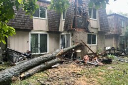 Severe weather spurred by Debby knocked down trees, including one that smashed into a townhouse in Montgomery County, Maryland. (WTOP/Nick Iannelli)