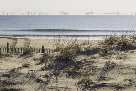 ‘The sunrise will never be the same’: Ocean City ready to sue federal government over offshore wind farm