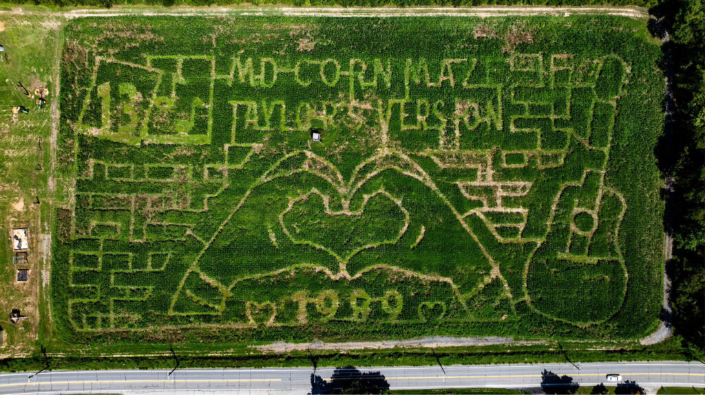 Taylor Swift corn maze 