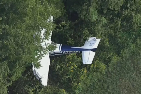 Pilot flown to hospital after small plane crashes in Fauquier County