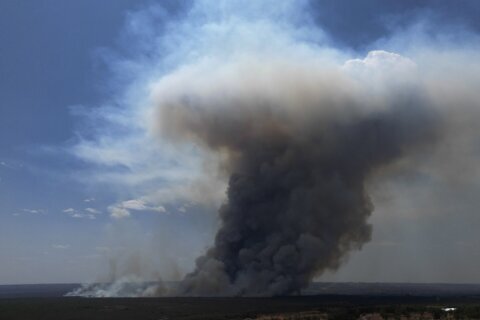 Brazilian firefighters battle national park wildfire that is enveloping Brasilia in smoke