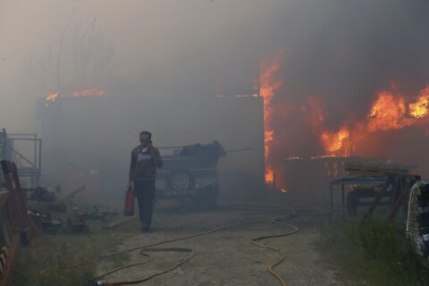 Wildfires in Portugal blamed for three deaths as Europe sends aircraft to help