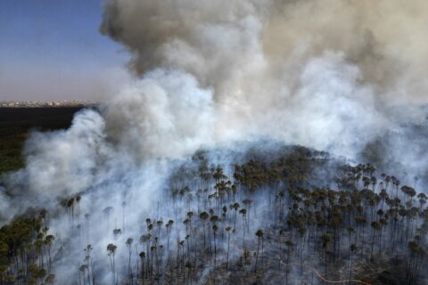 During Brazil's worst drought, wildfires rage and the Amazon River falls to a record low