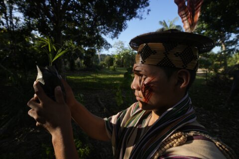 Takeaways from AP's story on the Ashaninka tribe's reforestation model in the Brazilian Amazon