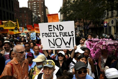 Youth activists protest to demand action on climate as big events open in NYC