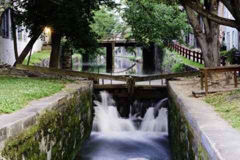 DC's newest free tour offers a historic glimpse into its canal waterways you can't find anywhere else