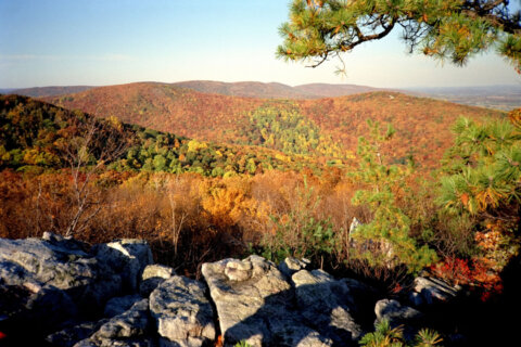 Hiking this Fall? ‘Check the weather before you go out’