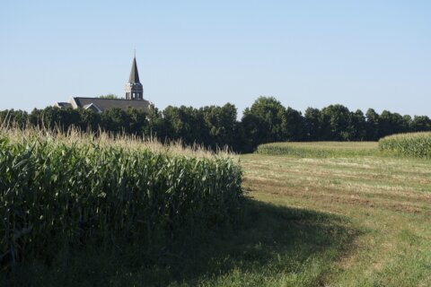 Lutherans in Walz's Minnesota put potlucks before politics during divisive election season