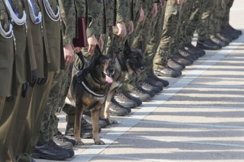 Military dogs receive army ranks as Poland recognizes their service in protecting human life