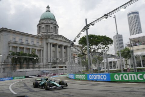 Lizard on track halts Formula 1 practice in Singapore