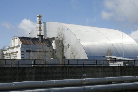 Mushrooms foraged in Sweden could help research Chernobyl radioactive fallout