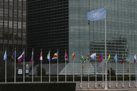 The new top youth official at the UN talks about what's in it for young people