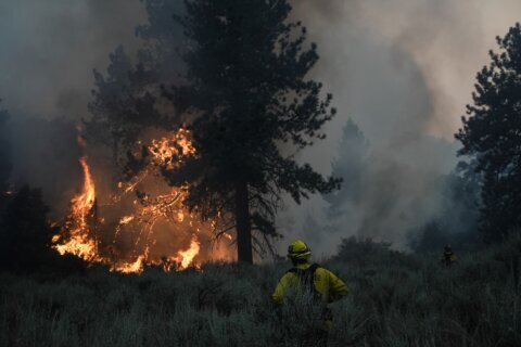 CLIMATE GLIMPSE: Wildfires plague U.S. West and Brazil, Yagi rampages in Vietnam