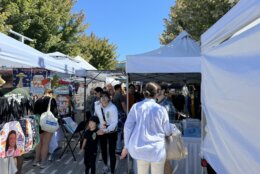 vendors at Adams Morgan Day