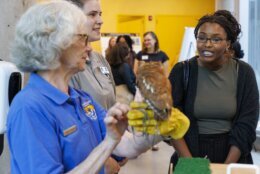 Students interact with Red, an 18-year-old screech owl, during an MOU signing with the U.S. Fish and Wildlife Service between Bowie State University, Alabama A&amp;M and Bethune-Cookman University, Friday, Sept. 27, 2024. (Courtesy Bowie State University)