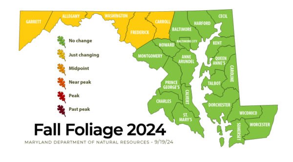 A forecast predicting Maryland's fall foliage in 2024.