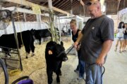 The Great Frederick Fair brings a lively midway and bustling barn to Maryland