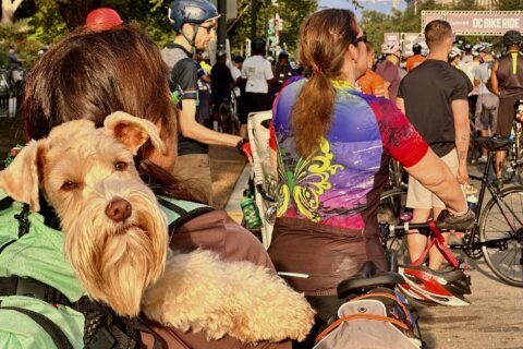 DC Bike Ride brings ten thousand cyclists to nation's capital