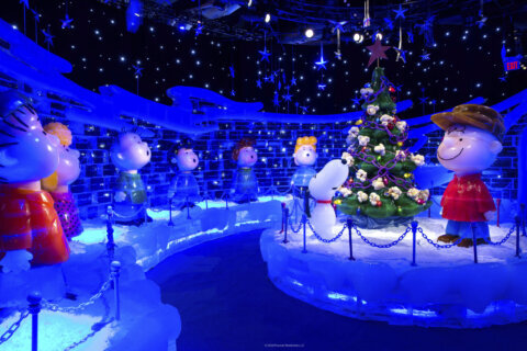 Good grief: Gaylord National Resort brings childhood favorite to life in 2 million pounds of ice