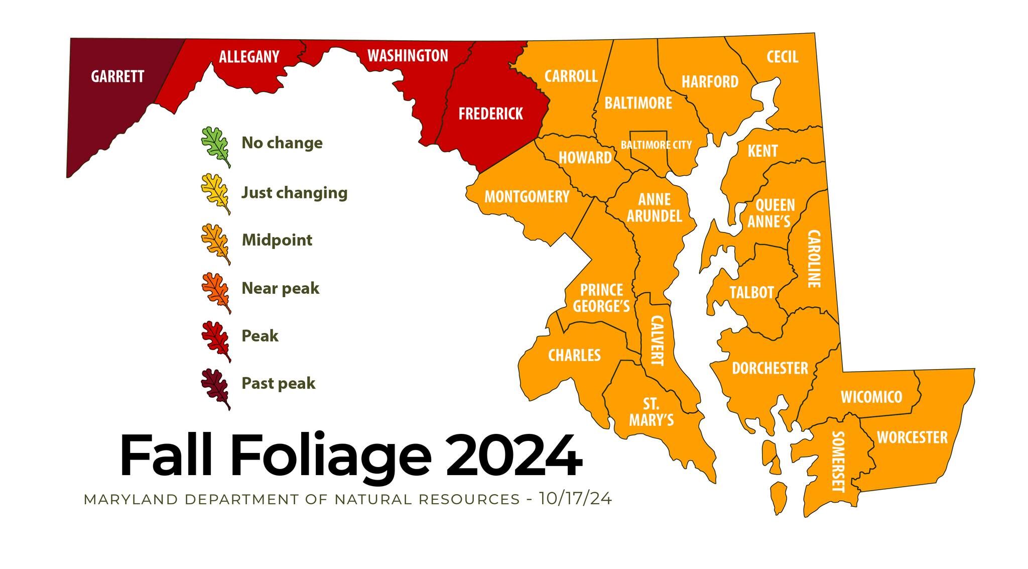 Fall Foliage 2024 Report