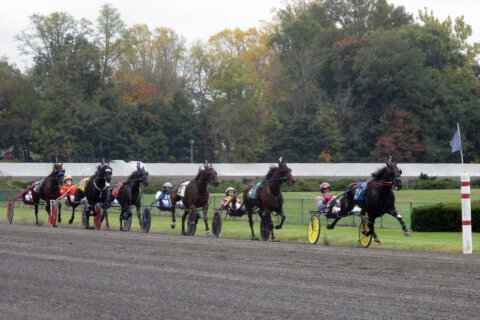 HISA, Jockeys’ Guild partner with mental-health company to offer jockeys access to care and support