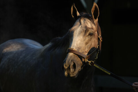 Ireland’s City of Troy is 5-1 morning-line favorite for $7 million Breeders’ Cup Classic at Del Mar