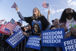 Supporters of Democratic presidential nominee Vice President Kamala Harris attend a campaign rally in Washington, Tuesday, Oct. 29, 2024. (AP Photo/Jose Luis Magana)