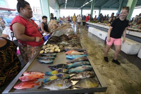 Samoan coast where King Charles will visit worries about the future after ship damaged reef