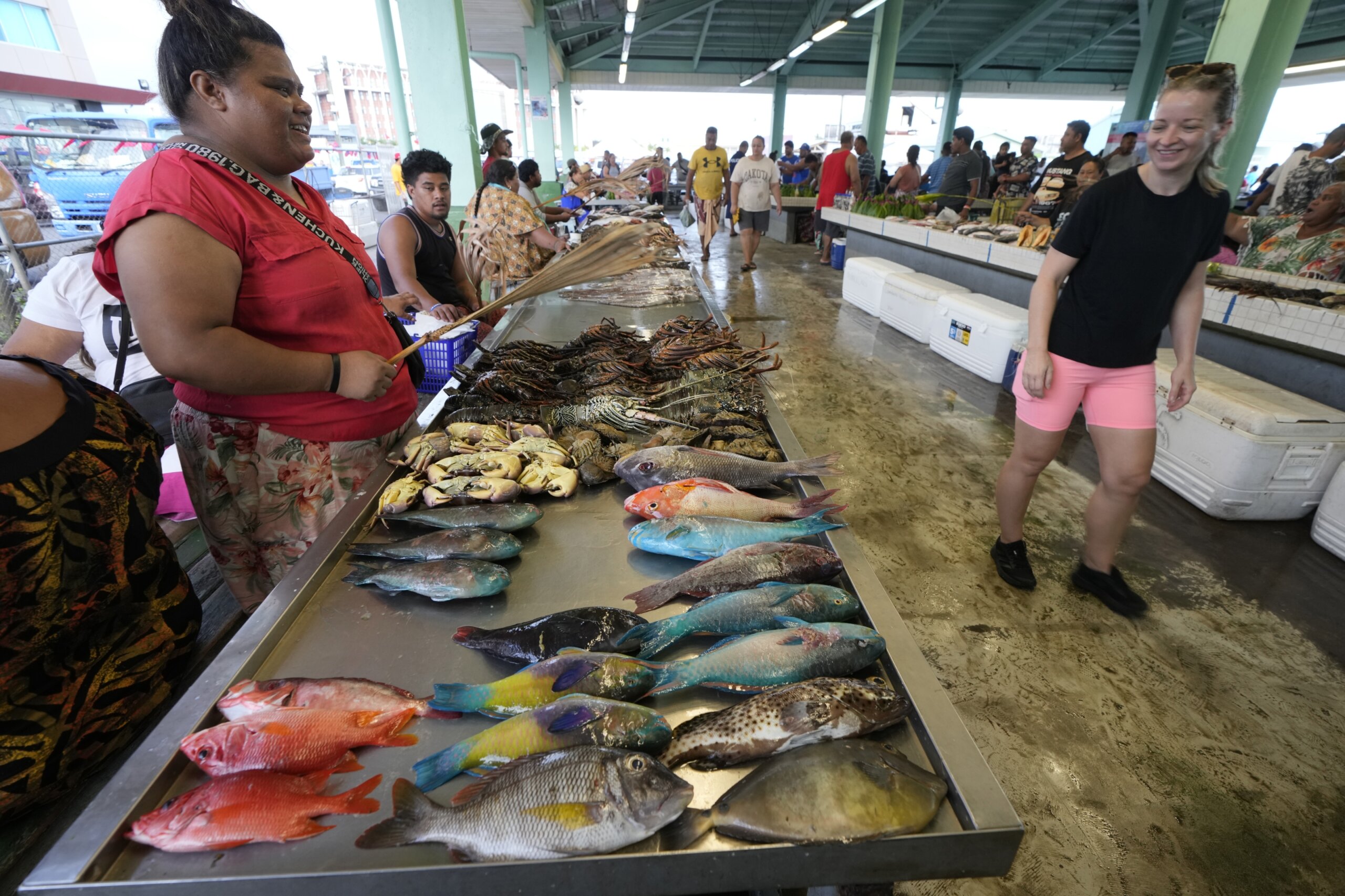 Samoan coast where King Charles will visit worries about the future after ship damaged reef - News