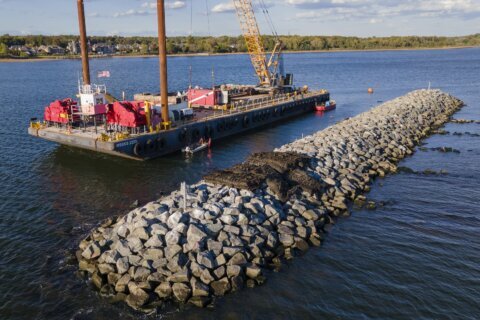 These artificial reefs off a New York City beach help sea creatures. They might also save lives