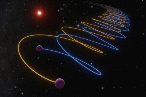 A brown dwarf discovered 30 years ago is actually twins circling each other