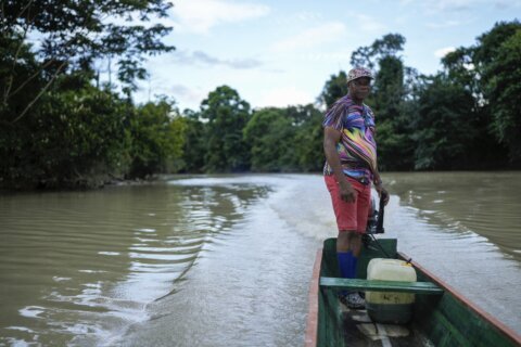 Colombia’s river guardians battle to protect the Atrato amid threats and abandonment