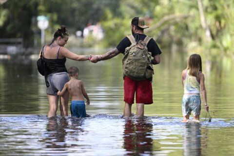 Control the path and power of hurricanes like Milton? Forget it, scientists say