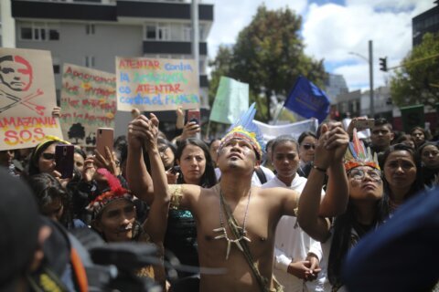 Efforts to combat deforestation in Colombia hindered because of  armed groups, report finds