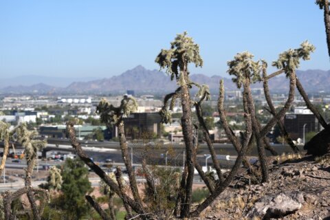 We may not know the next president on Election Day. This Arizona swing county could be why