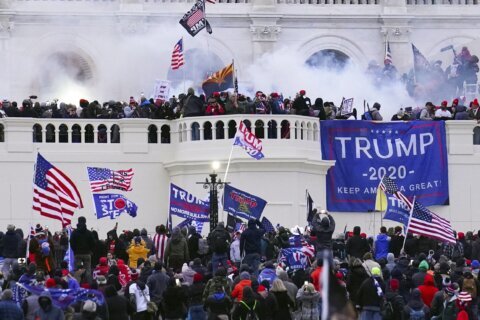 Rioters who stormed Capitol after Trump’s 2020 defeat toast his White House return