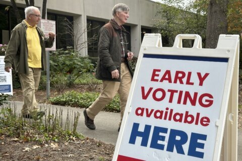 Georgians flock to cast ballots as early in-person voting begins