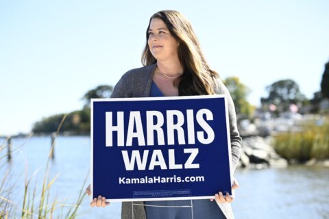 Those early Zoom meetings got people fired up for Harris. Now they're trying to get them to vote