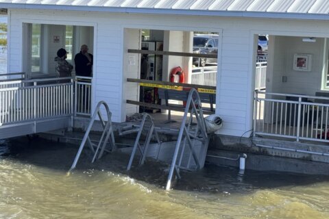 Georgia islanders rushed to rescue survivors after dock walkway collapse that killed 7