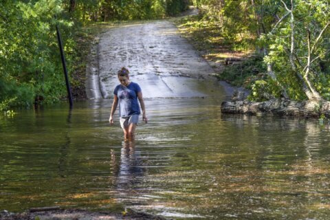 Climate change boosted Helene’s deadly rain and wind and scientists say same is likely for Milton