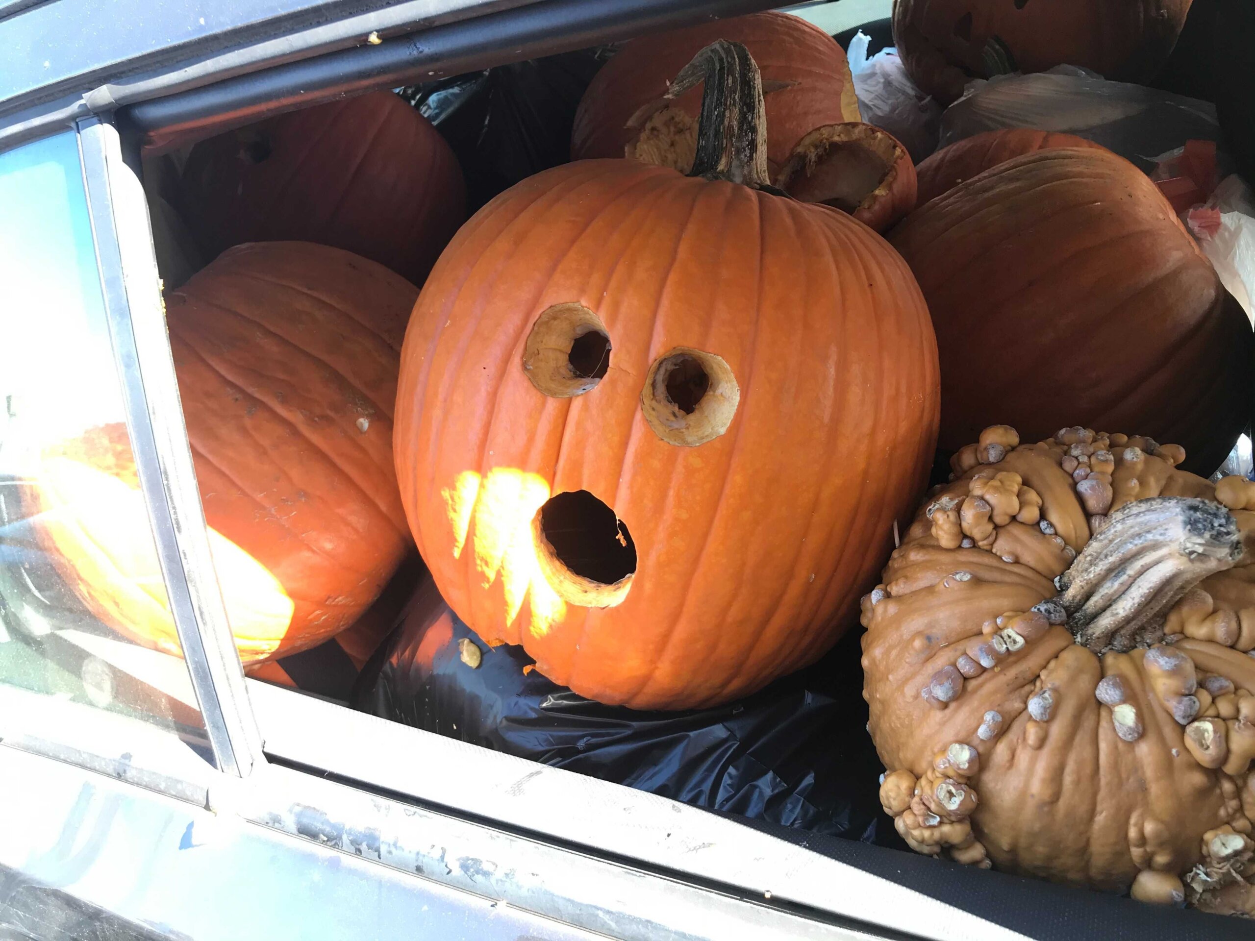 A pumpkin with a carved-up face