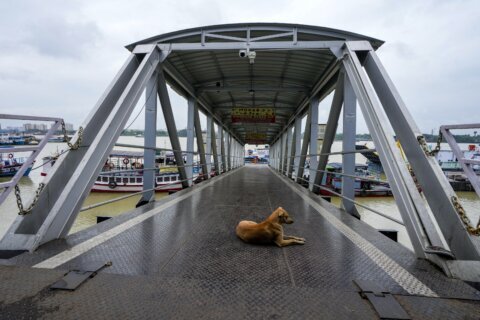 Tropical Storm Dana brings heavy rains and strong wind to India’s eastern coast