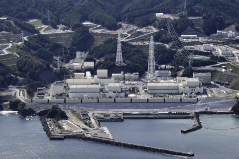 Japanese nuclear reactor which survived earthquake that badly damaged Fukushima power plant restarts