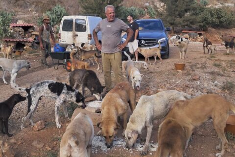 A man in south Lebanon cares for pets left behind as residents flee Israeli strikes