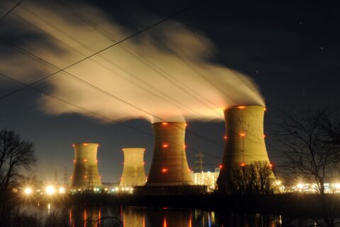 Big Tech’s energy needs mean nuclear power is getting a fresh look from electricity providers