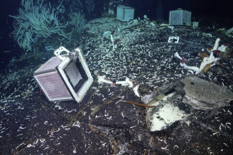 Tubeworms, snails and other weird creatures found under the seafloor