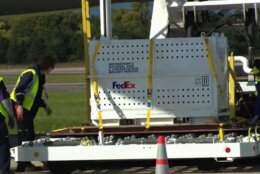 With the help of "FedEx Panda Team" crew members, one of the bears that will soon call the National Zoo home is lowered off an airplane at Dulles Airport on Oct. 15, 2024.