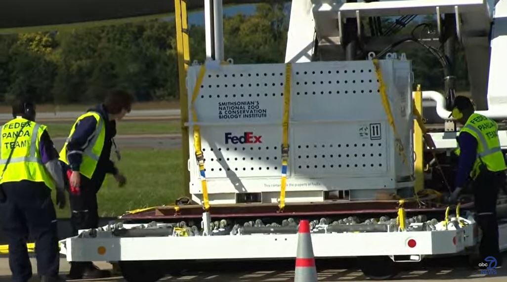 With the help of "FedEx Panda Team" crew members, one of the bears that will soon call the National Zoo home is lowered off an airplane at Dulles Airport on Oct. 15, 2024.