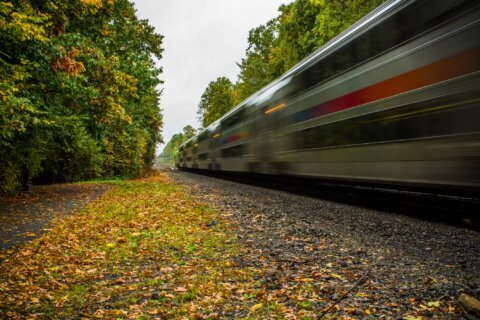 Fall flash sale at Amtrak: DC to NYC for $42